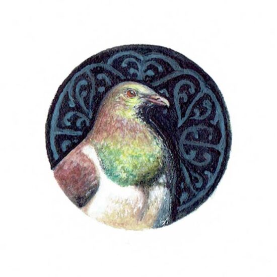Kereru