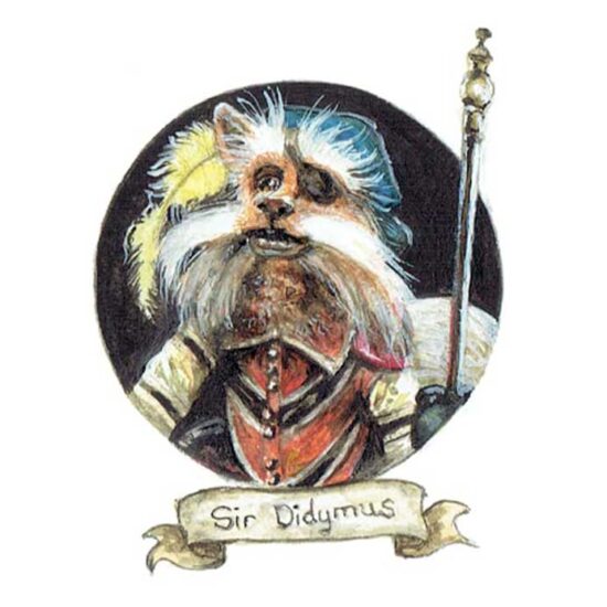 Sir Didymus