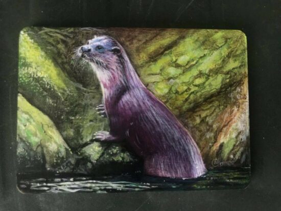 River Otter